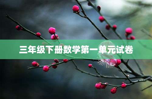 三年级下册数学第一单元试卷