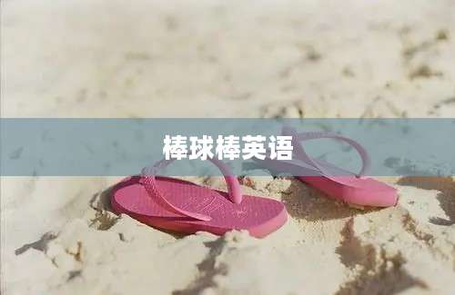 棒球棒英语