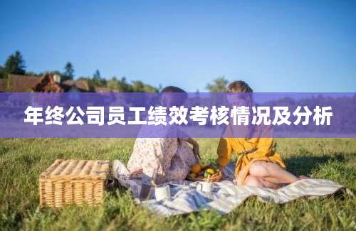 年终公司员工绩效考核情况及分析