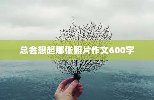 总会想起那张照片作文600字