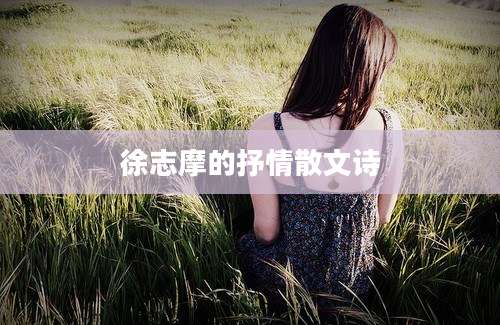 徐志摩的抒情散文诗