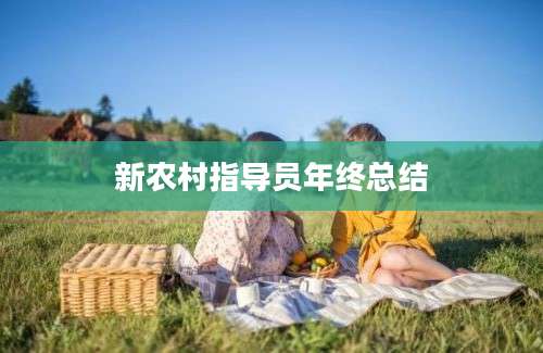 新农村指导员年终总结