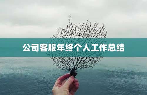 公司客服年终个人工作总结