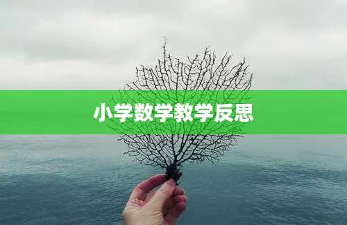 小学数学教学反思