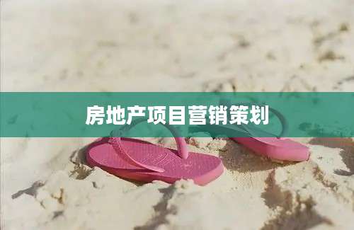房地产项目营销策划
