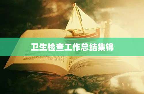 卫生检查工作总结集锦