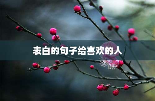 表白的句子给喜欢的人
