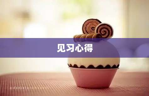 见习心得