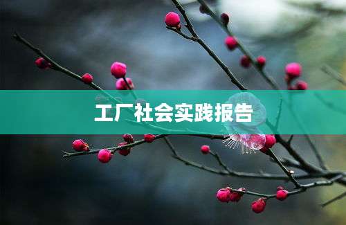工厂社会实践报告