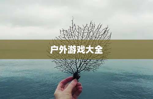 户外游戏大全