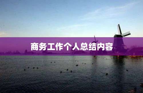 商务工作个人总结内容