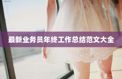 最新业务员年终工作总结范文大全