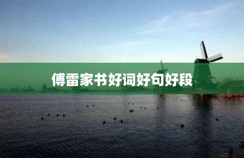 傅雷家书好词好句好段