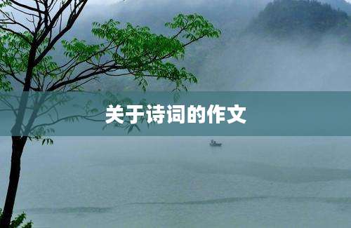 关于诗词的作文