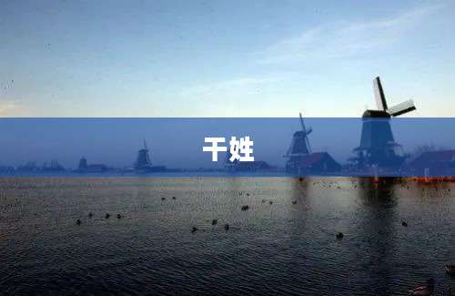 干姓