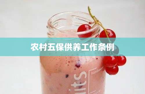 农村五保供养工作条例