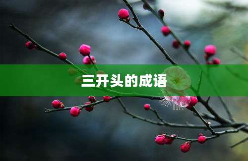 三开头的成语