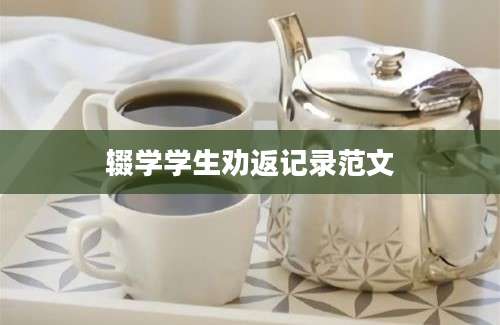 辍学学生劝返记录范文
