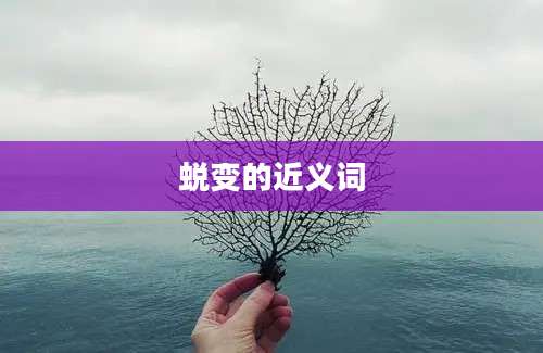 蜕变的近义词