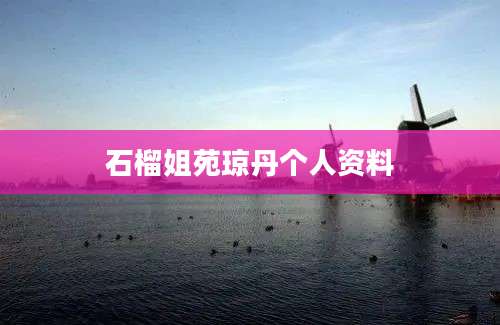 石榴姐苑琼丹个人资料