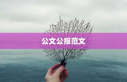 公文公报范文