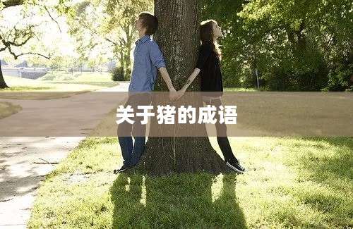 关于猪的成语