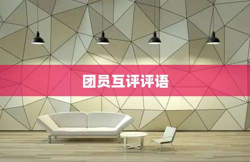 团员互评评语