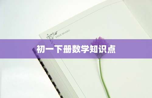 初一下册数学知识点