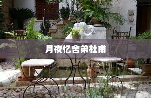 月夜忆舍弟杜甫