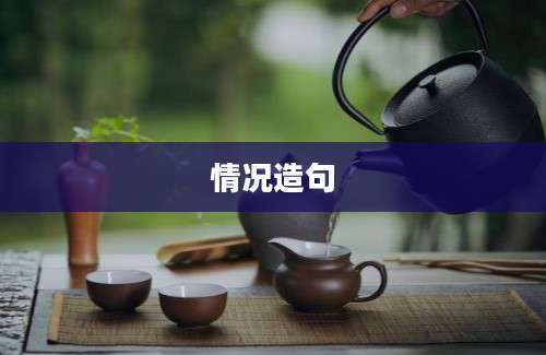 情况造句