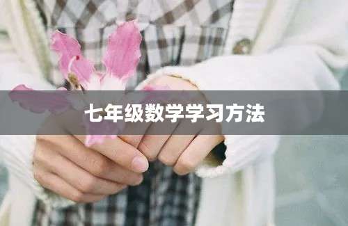 七年级数学学习方法
