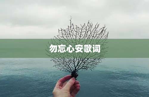 勿忘心安歌词