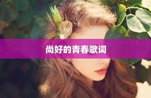 尚好的青春歌词