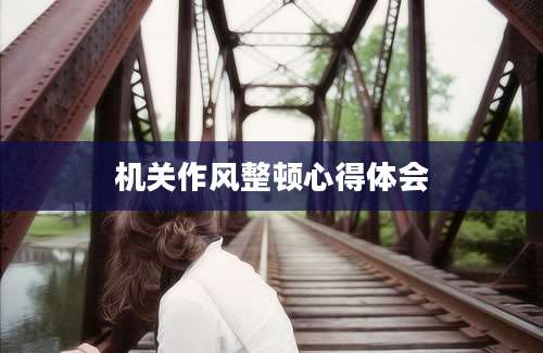机关作风整顿心得体会