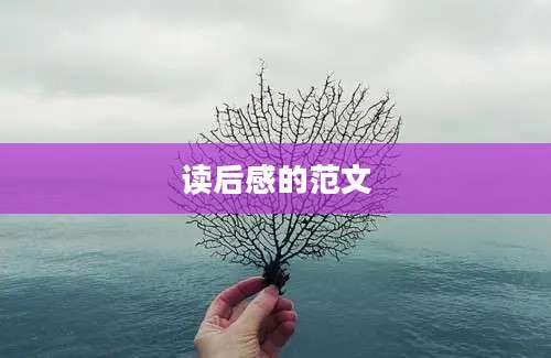 读后感的范文
