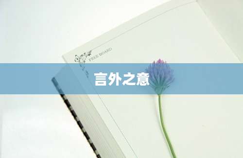 言外之意
