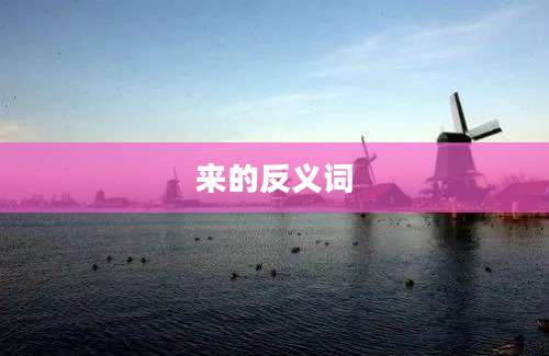 来的反义词