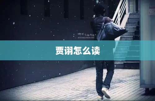 贾诩怎么读