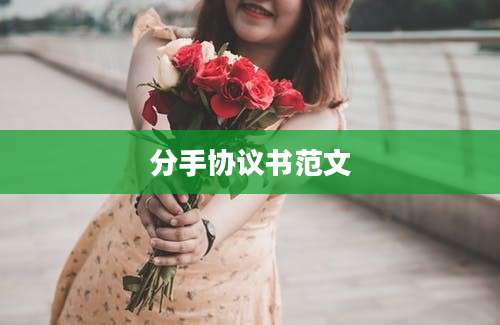 分手协议书范文