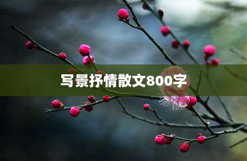 写景抒情散文800字