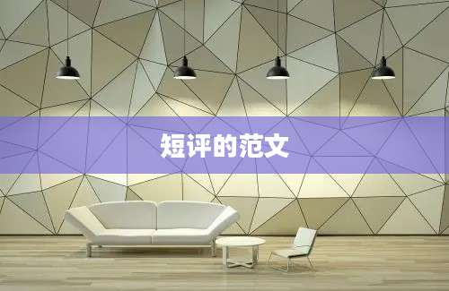 短评的范文