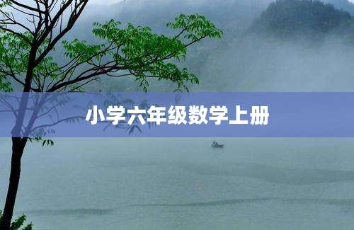 小学六年级数学上册