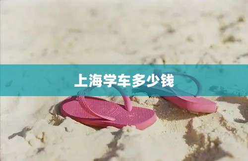 上海学车多少钱