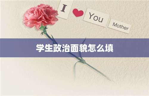 学生政治面貌怎么填