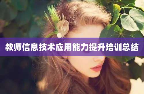 教师信息技术应用能力提升培训总结