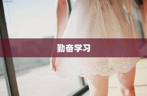 勤奋学习
