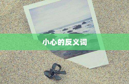 小心的反义词