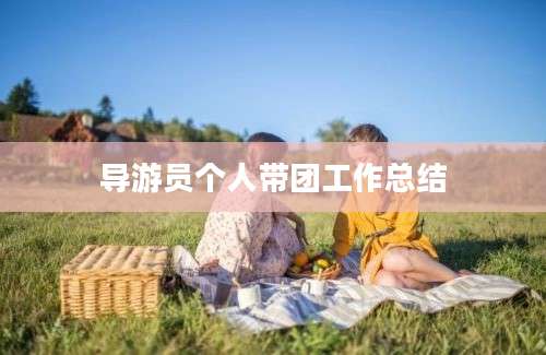 导游员个人带团工作总结