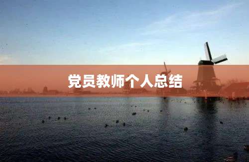 党员教师个人总结