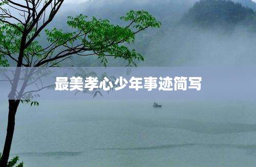 最美孝心少年事迹简写